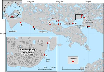 Extremely low biodiversity Arctic intertidal habitats as sentinels for environmental change